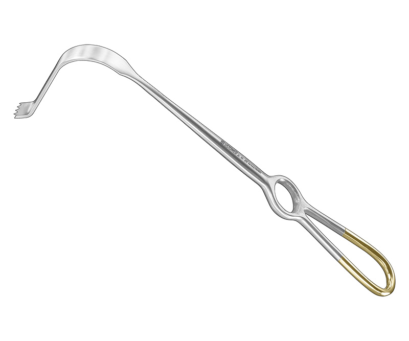 DEGIDI, Zygomatik-Haken, 70x11 mm, gezahnt
